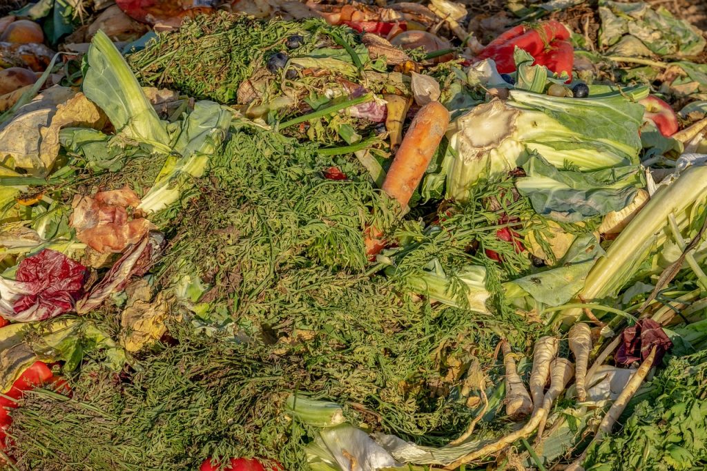 Astuces pratiques pour réduire le gaspillage alimentaire