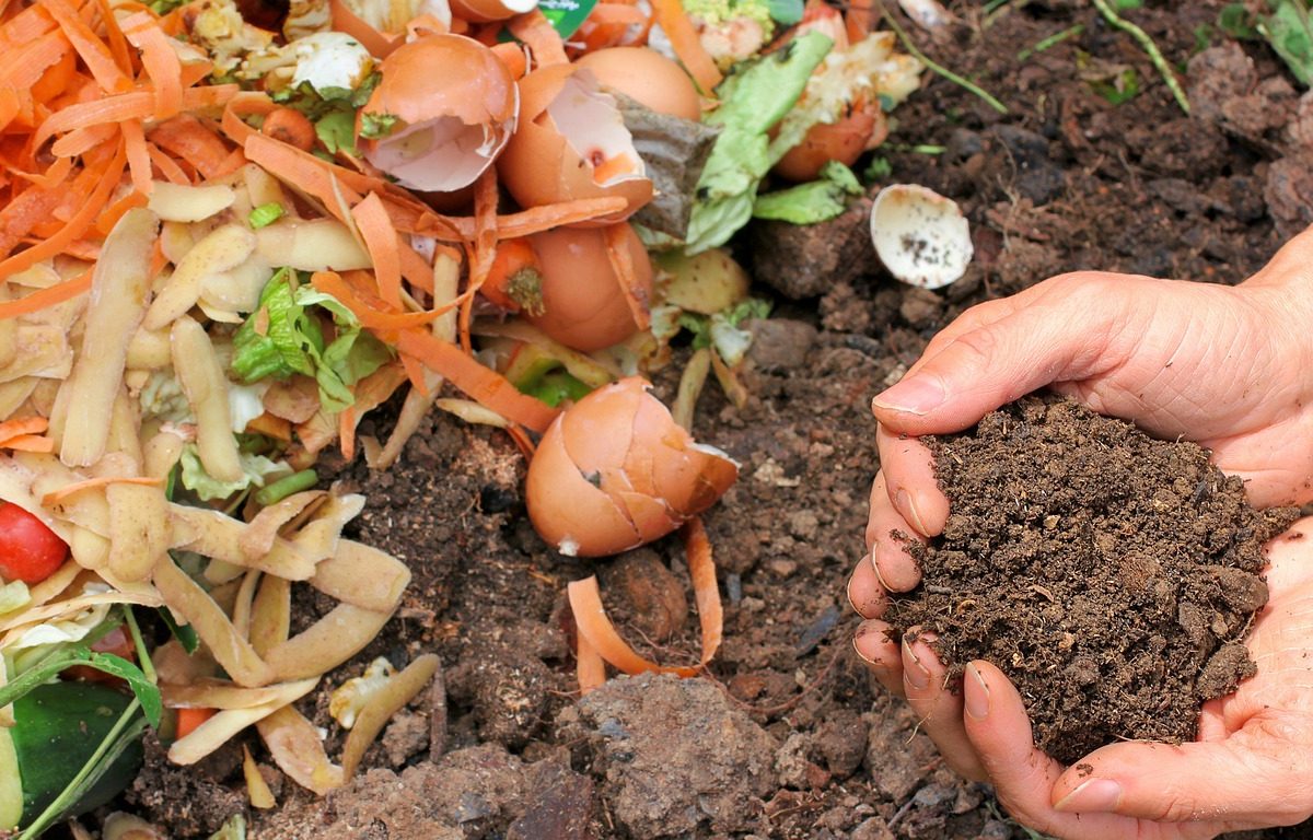 Astuces pour réduire le gaspillage alimentaire à la maison