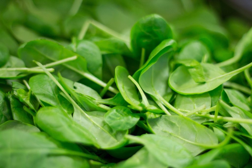 Comment optimiser l'absorption du fer dans votre alimentation ?