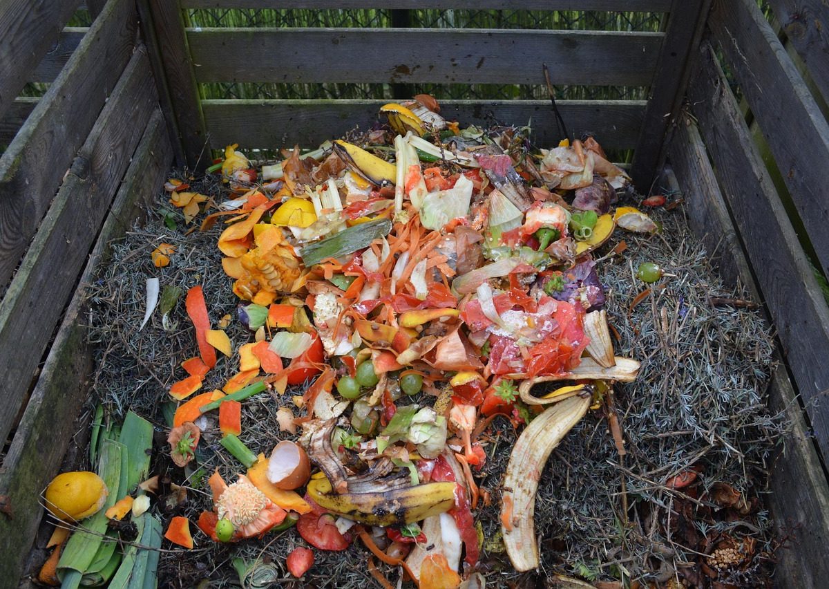 Réduire le gaspillage alimentaire : Guide pratique