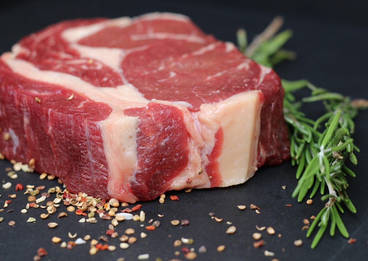 Dès le début, le régime carnivore met votre santé en danger?
