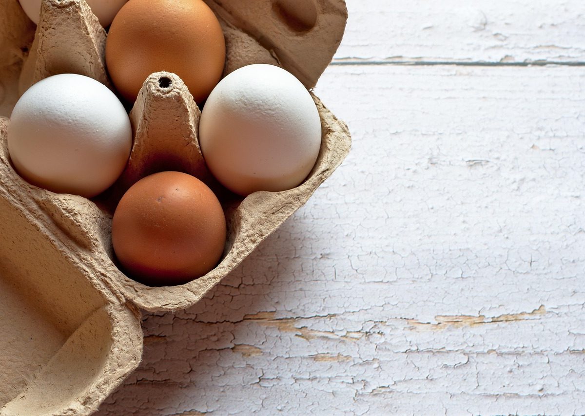 Protéines par repas : repères pratiques 20-30 g