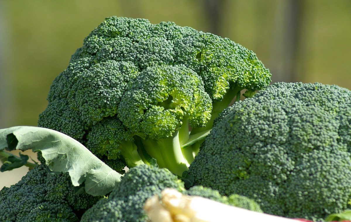 L’impact de notre alimentation sur le risque de cancer du poumon