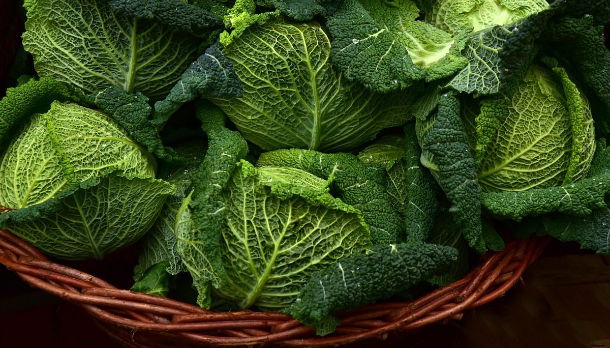 L’influence de notre régime alimentaire sur le risque de cancer du poumon