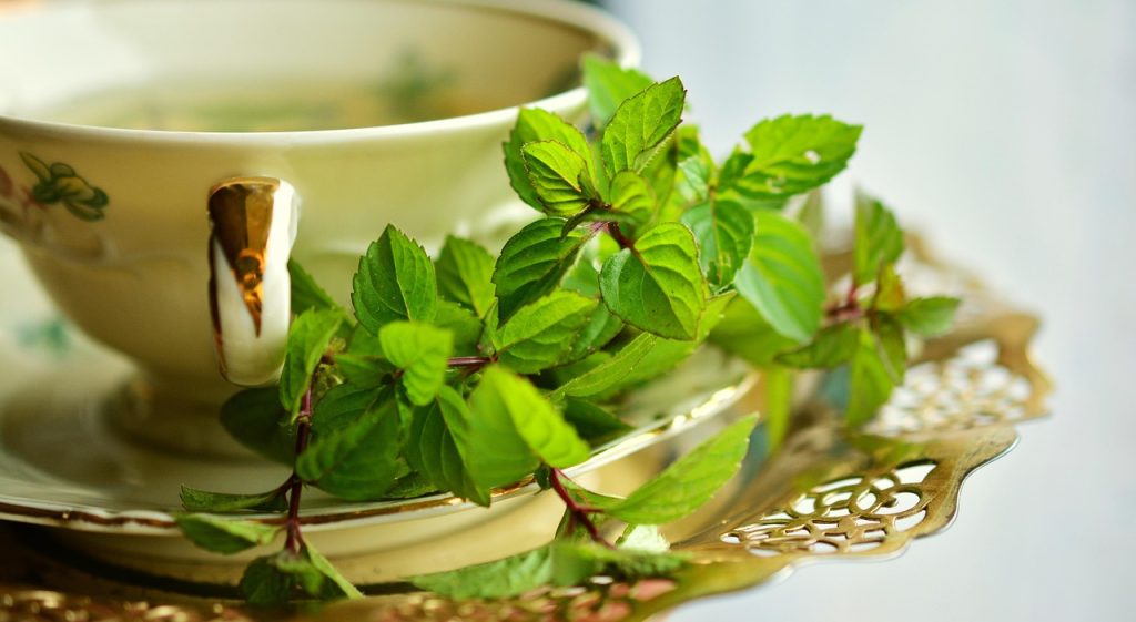 La méthode japonaise à la menthe : le secret minceur inattendu