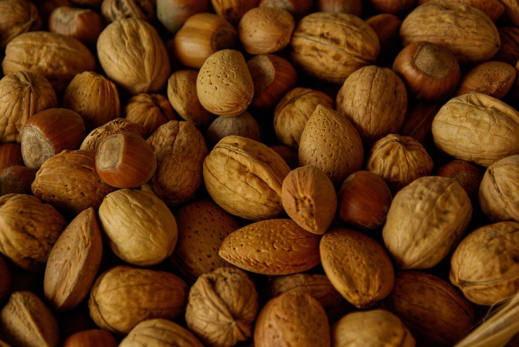 Les aliments à privilégier pour une santé optimale