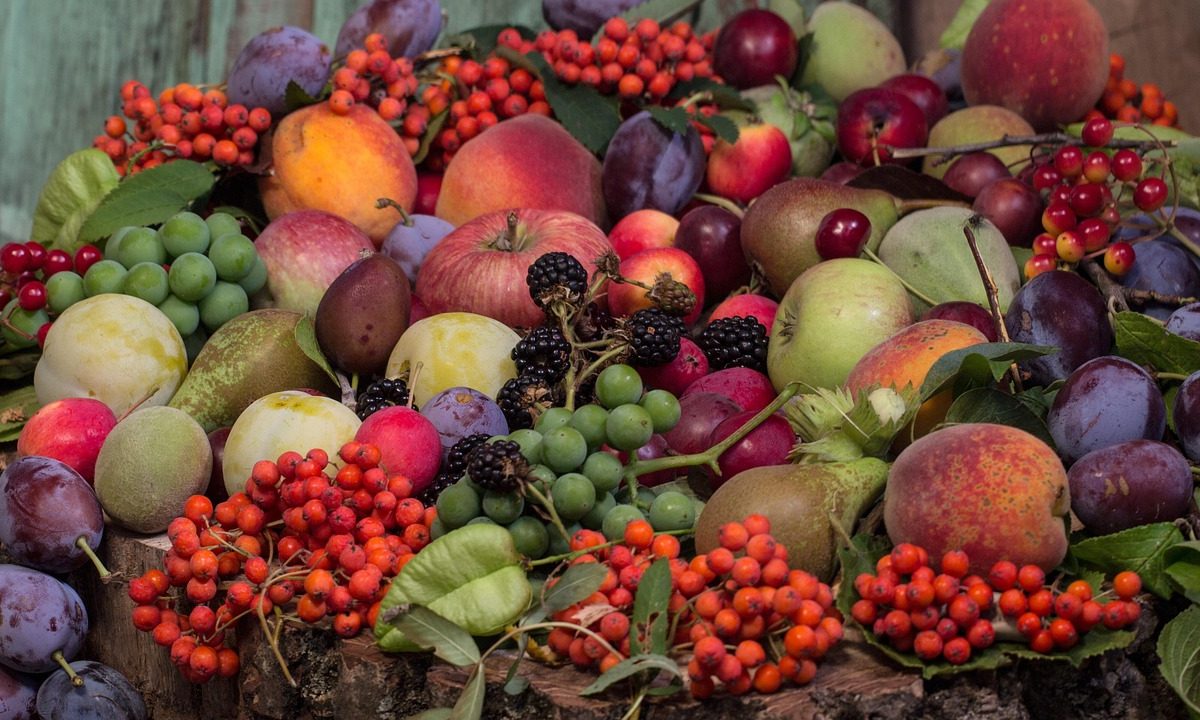 Les fruits et légumes de saison à privilégier en septembre pour une alimentation saine