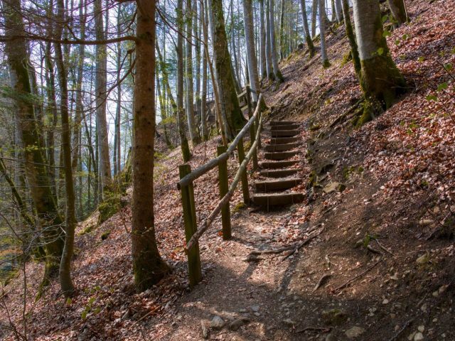 Loisirs créatifs : guide, familles et idées d’activités