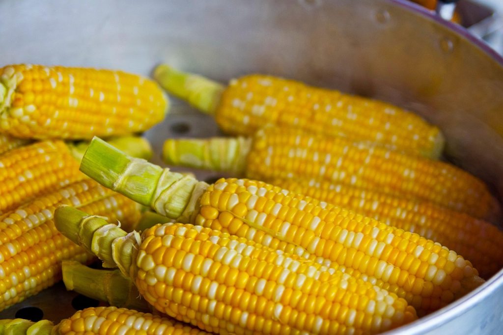Plan de repas économique pour une semaine : cadre opérationnel