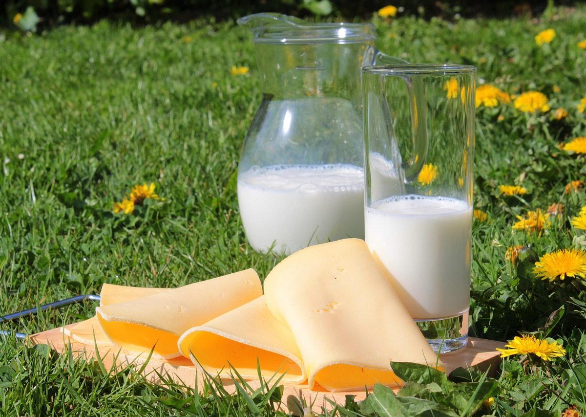 Protéger vos os grâce à l’alimentation