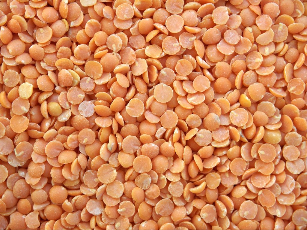Quelles protéines privilégier pour une alimentation équilibrée ?