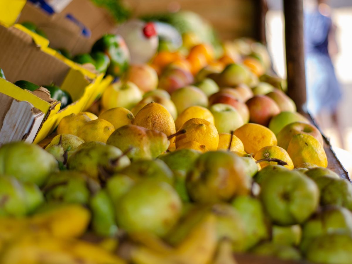 Le lien entre alimentation équilibrée et prévention de la démence